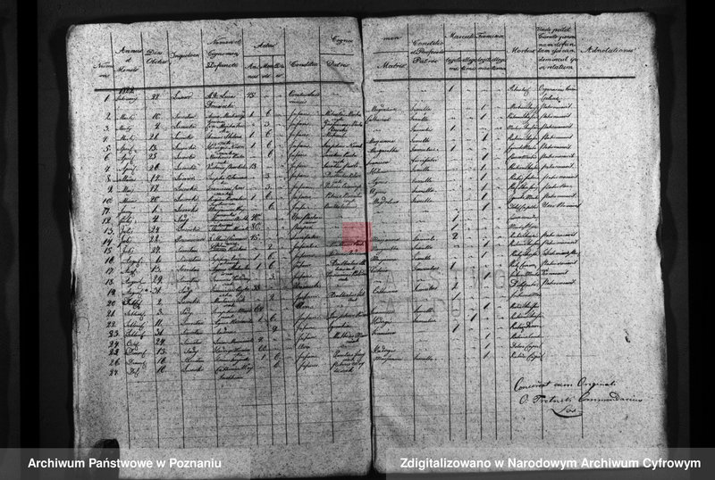Obraz 10 z jednostki "Duplicatus baptisatorum, copulatorum, mortuorum"