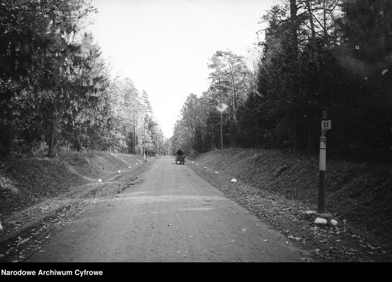 image.from.unit.number "Białowieża"