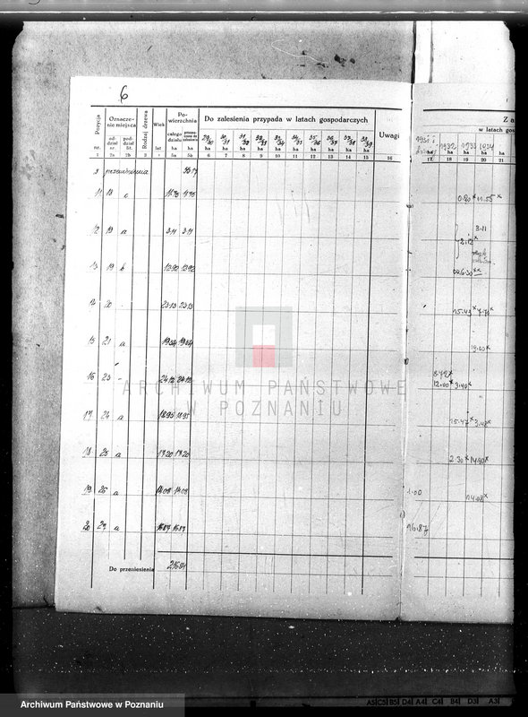 Obraz 10 z jednostki "Plan urządzenia gospodarstwa leśnego dla lasu majętności Nowy Dwór w powiecie nowotomyskim 1930-1940"