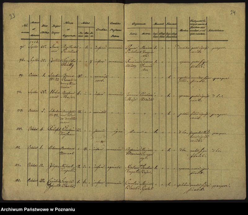 Obraz 15 z jednostki "Księga zgonów"