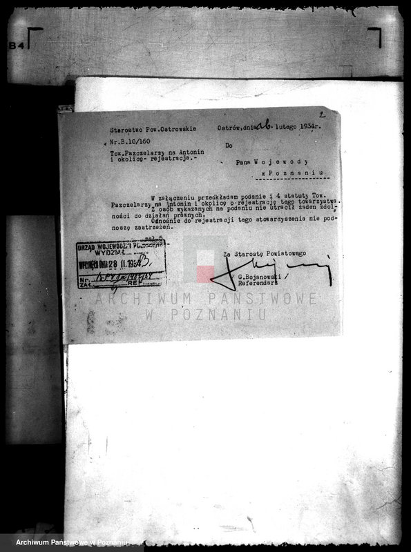 Obraz 7 z jednostki "Towarzystwo Pszczelarzy w Antoninie powiatu ostrowskiego"