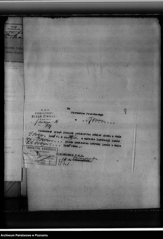 Obraz 12 z jednostki "Lasy majątku Brzeźno powiat koniński"