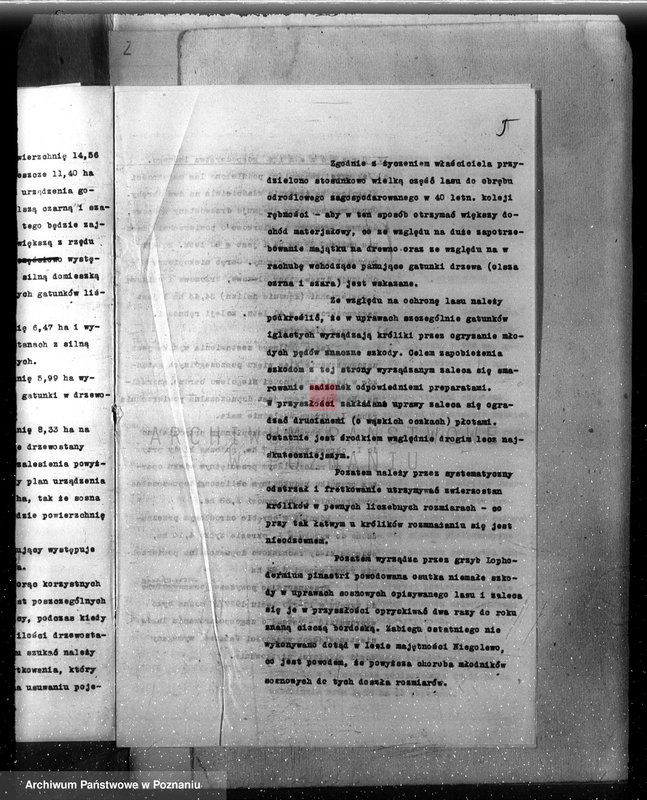 Obraz 9 z jednostki "Plan urządzenia gospodarstwa leśnego dla lasu majątku Niego lewo powiat nowotomyski 1927-1937"
