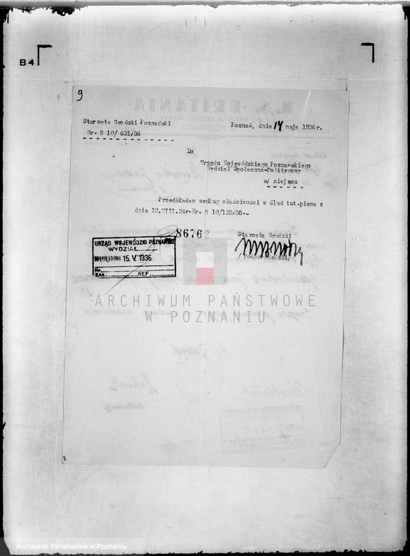 Obraz 13 z jednostki "/Klub Sportowy,,Britania" w Poznaniu/"