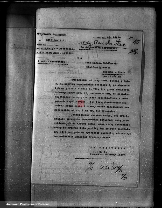 Obraz 19 z jednostki "Majętność Borówko Stare /nadzór nad gospodarką leśną/"