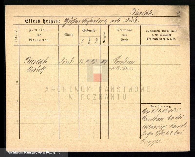 Obraz 11 z jednostki "Buriański - Busse"