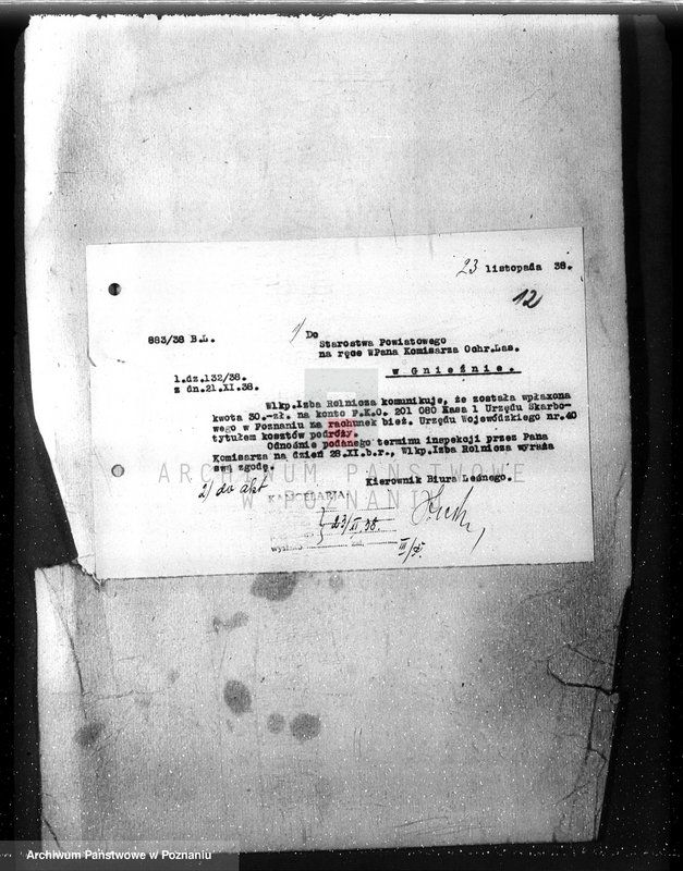 Obraz 16 z jednostki "Majętność /leśna/ Pamiątkowo powiat obornicki"