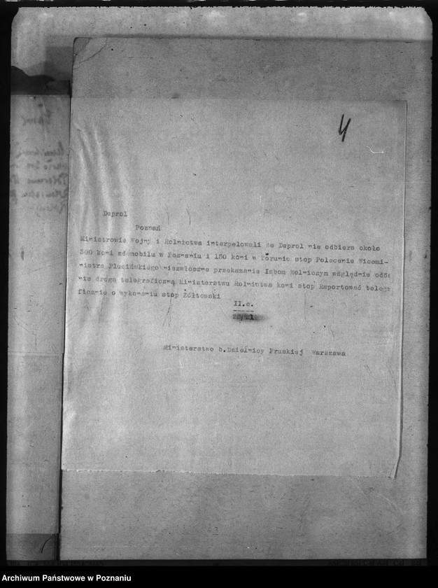 Obraz 8 z jednostki "Rekwizycje koni"