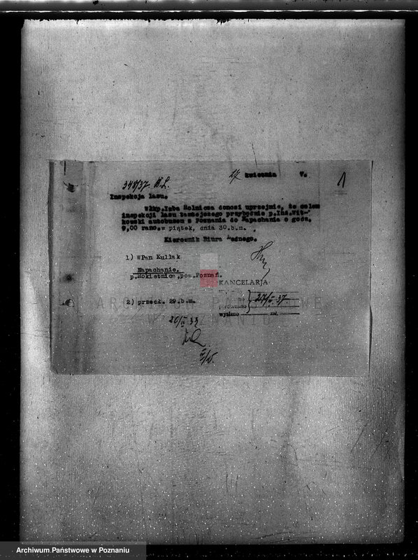 Obraz 5 z jednostki "Napachanie powiat poznański nadzór nad gospodarką leśną"