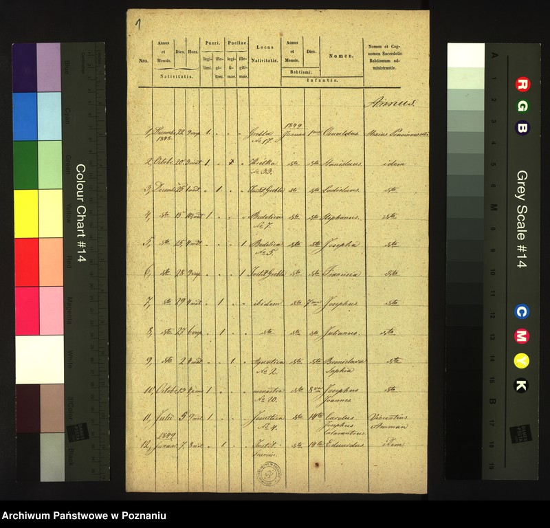 Obraz 3 z jednostki "Księga urodzin"