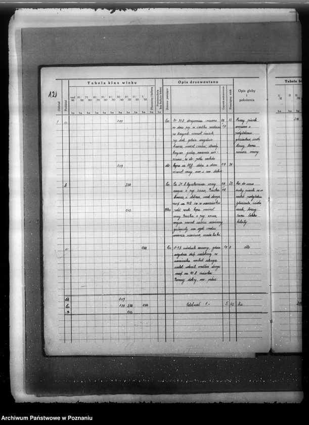 Obraz 16 z jednostki "Plan urządzenia gospodarstwa leśnego lasu majątku Strzępiń w powiecie nowotomyskim 1932-1942"