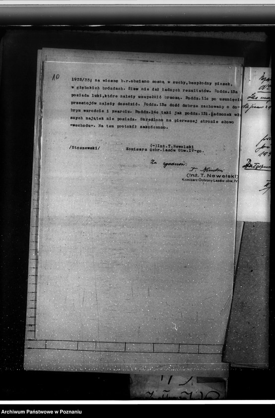 Obraz 14 z jednostki "Nadzór nad gospodarką w lasach majętności Rogowo w powiecie gostyńskim"