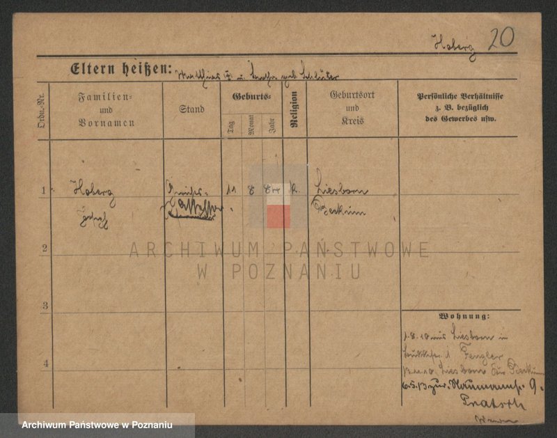Obraz 20 z jednostki "Hoag - Hofman Ignacy (żonaci)"