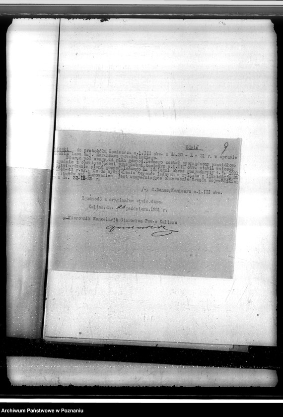 Obraz 13 z jednostki "Zatwierdzenie projektu planu gospodarstwa leśnego dla lasów majątku Marchwacz powiatu kaliskiego"