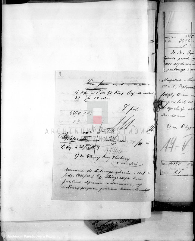 Obraz 13 z jednostki "Administracja miasta Kościana"