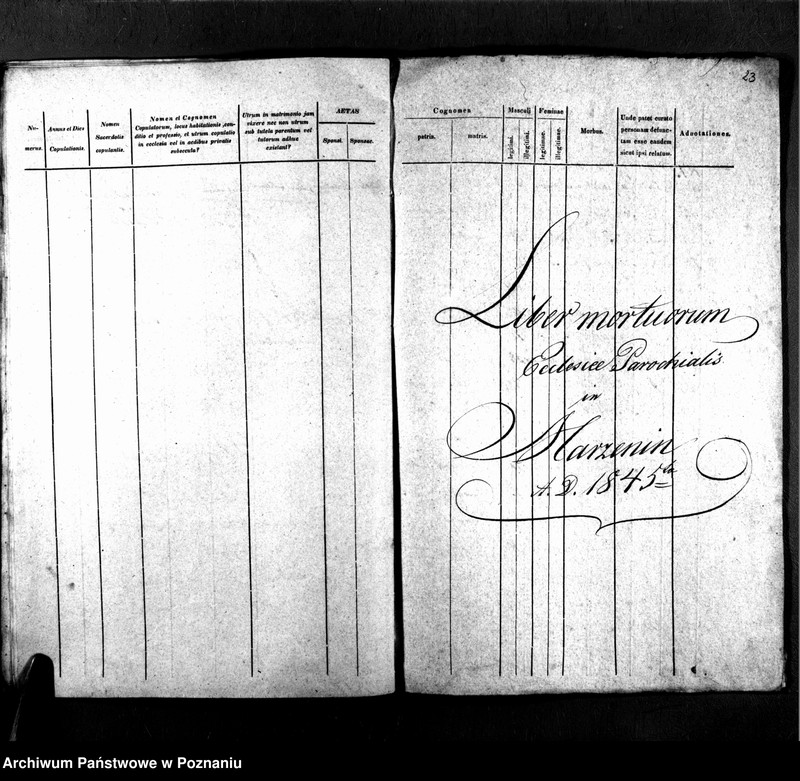 Obraz 15 z jednostki "Libri metrices baptisatorum, desponsatorum, mortuorum"