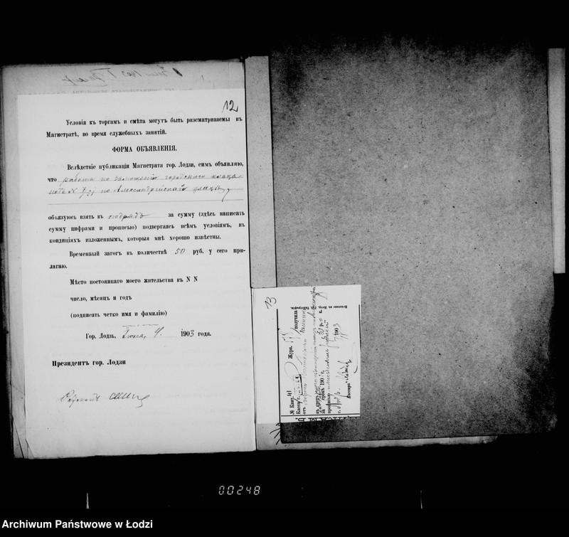 Obraz 12 z jednostki "O zamoščenji gorodskago placa nr 51/7 po Aleksandrijskoj ulice"