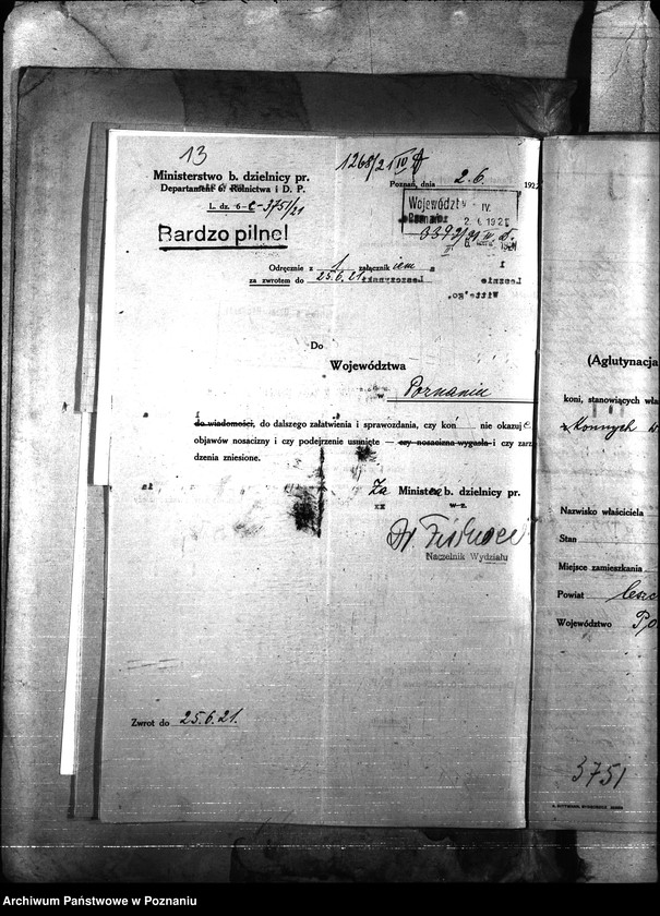 Obraz 16 z jednostki "Nosacizna - Leszno"