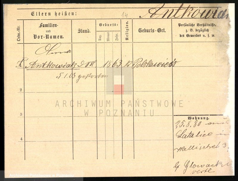 Obraz 18 z jednostki "Antkowiak (samotne kobiety) - Anzuhn"