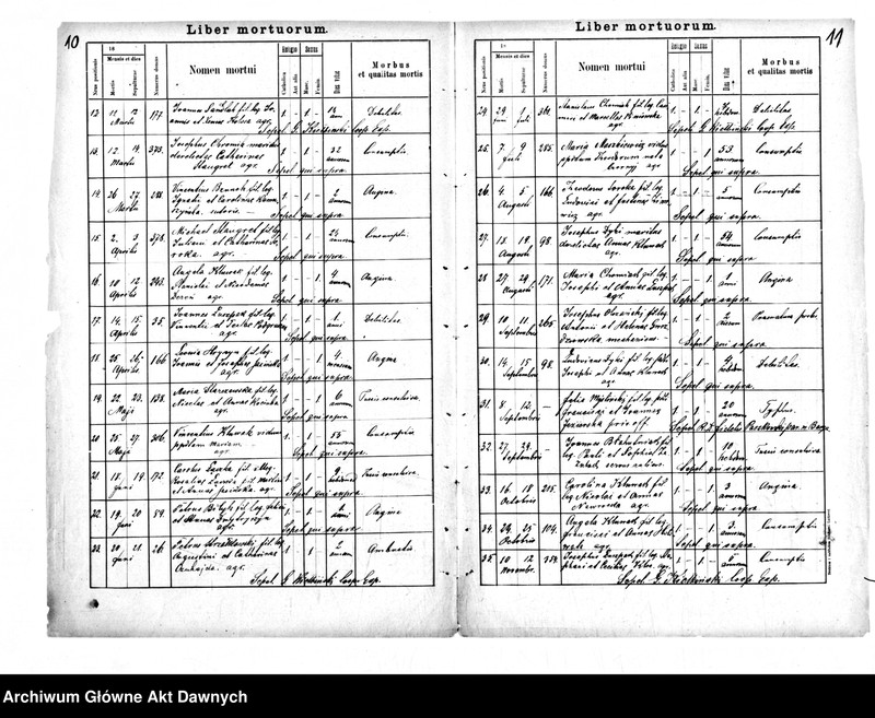 image.from.unit.number "Parafia: Nastazów. Dekanat: Trembowla. Kopie z ksiąg metrykalnych ur., zg. tylko dla wsi Bucniów."