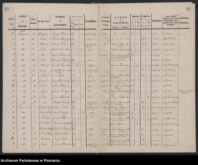 Obraz 8 z jednostki "Księga zgonów"