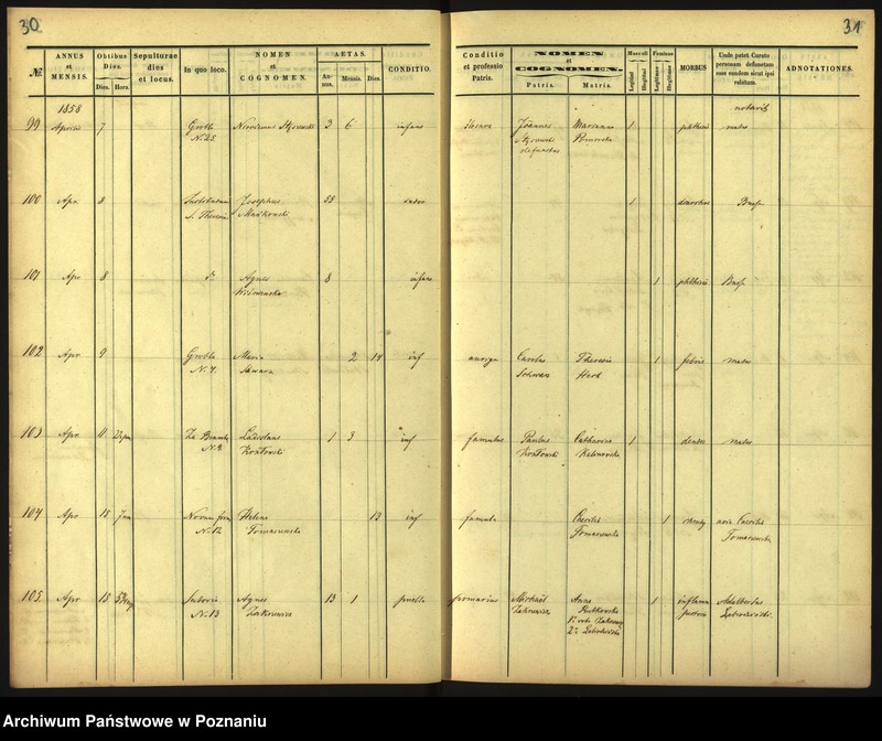 Obraz 18 z jednostki "Księga zgonów"