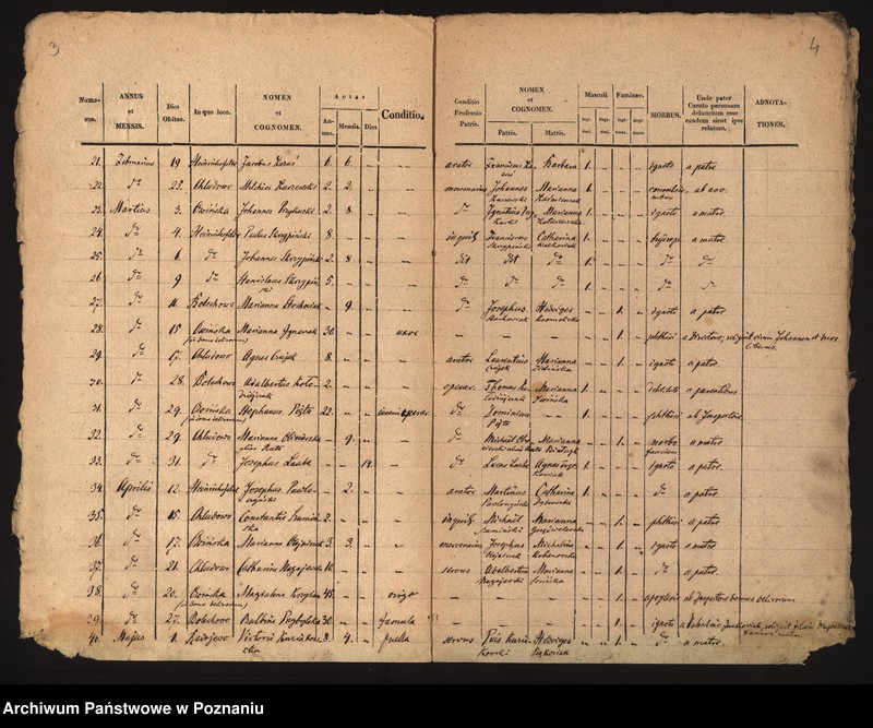 image.from.unit.number "Duplicatus- księga zgonów"