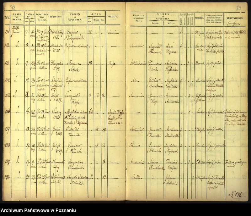 Obraz 17 z jednostki "Księga zgonów"