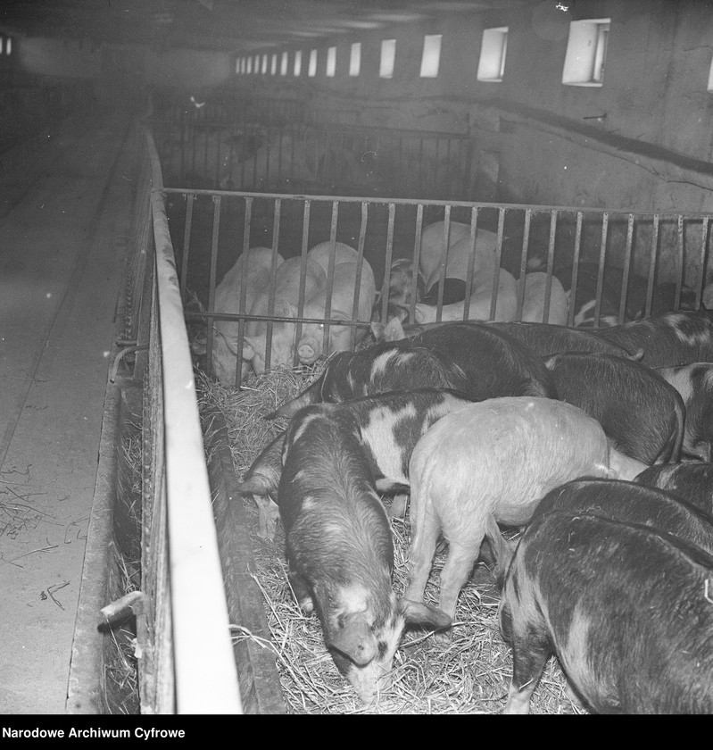 image.from.unit.number "Spółdzielnia Kółek Rolniczych w Jasieńcu"