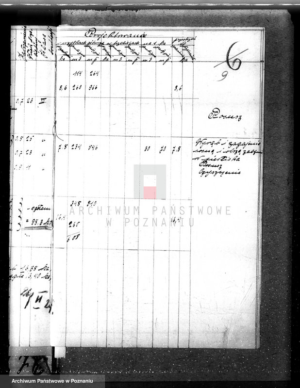 Obraz 13 z jednostki "Nadzór nad gospodarką w lasach majątku Dziadkowo powiecie gnieźnieńskim"