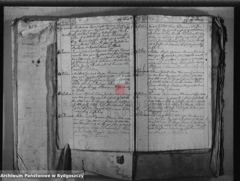 image.from.team "Akta metrykalne parafii rzymskokatolickiej w Chełmcach, pow. Inowrocław"