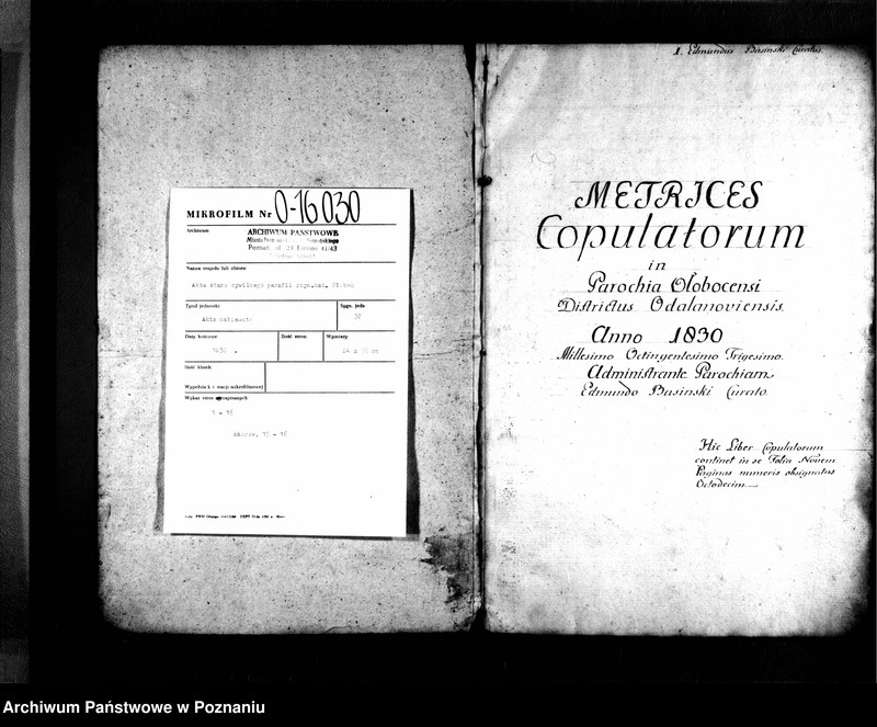 Obraz 3 z jednostki "Metrices copulatorum"
