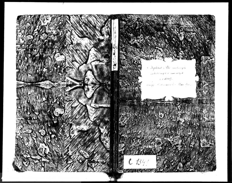 image.from.unit.number "Duplikat akt urodzonych, zaślubionych i zmarłych z r.1847 parafij jednowierców Karolin"