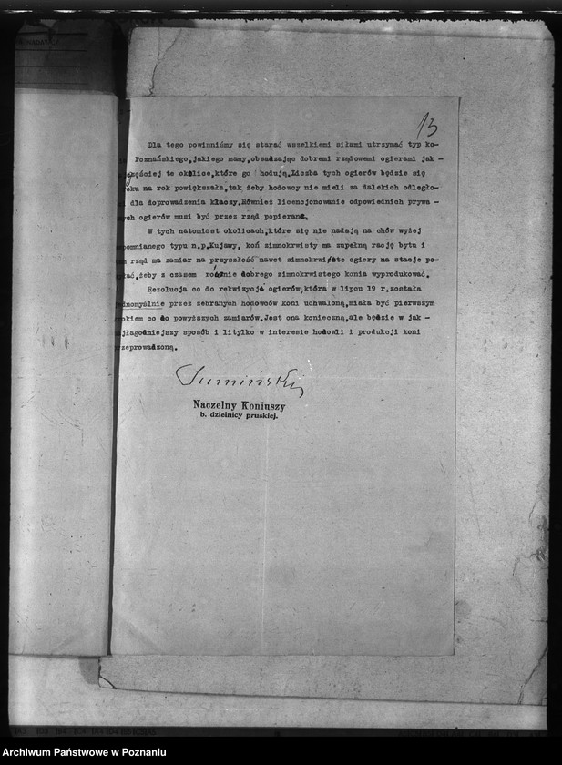 Obraz 17 z jednostki "Rekwizycje koni"