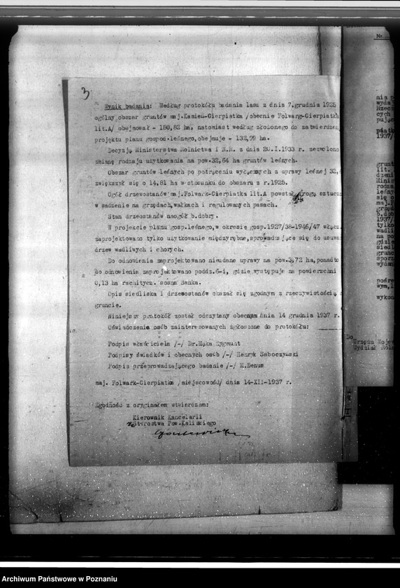 Obraz 7 z jednostki "Lasy majątku Cierpiatki w powiecie kaliskim"