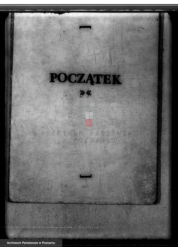 Obraz 3 z jednostki "Lasy miasta Dąbie powiatu kolskiego"