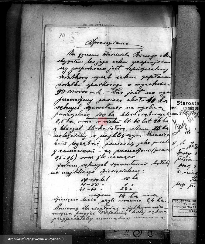 Obraz 14 z jednostki "Nadzór nad gospodarką w lasach majątku Osuch /Z. Busse/ w powiecie czarnkowskim"