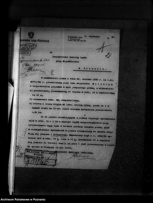 Obraz 6 z jednostki "Majętność leśna Wolsztyn powiat Wolsztyn"