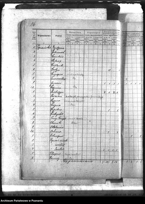 Obraz 20 z jednostki "Wykaz chorób zaraźliwych zwierząt"