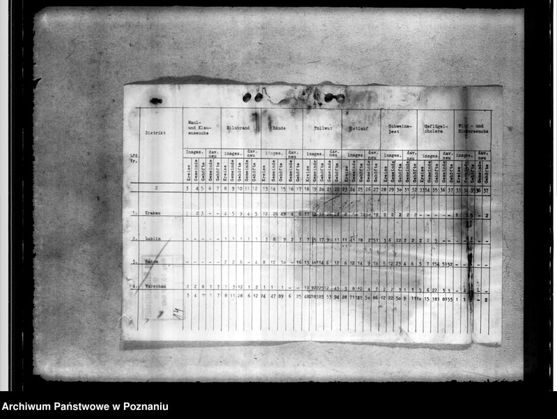 Obraz 18 z jednostki "Tierseuchenstand im Generalgouvernement"