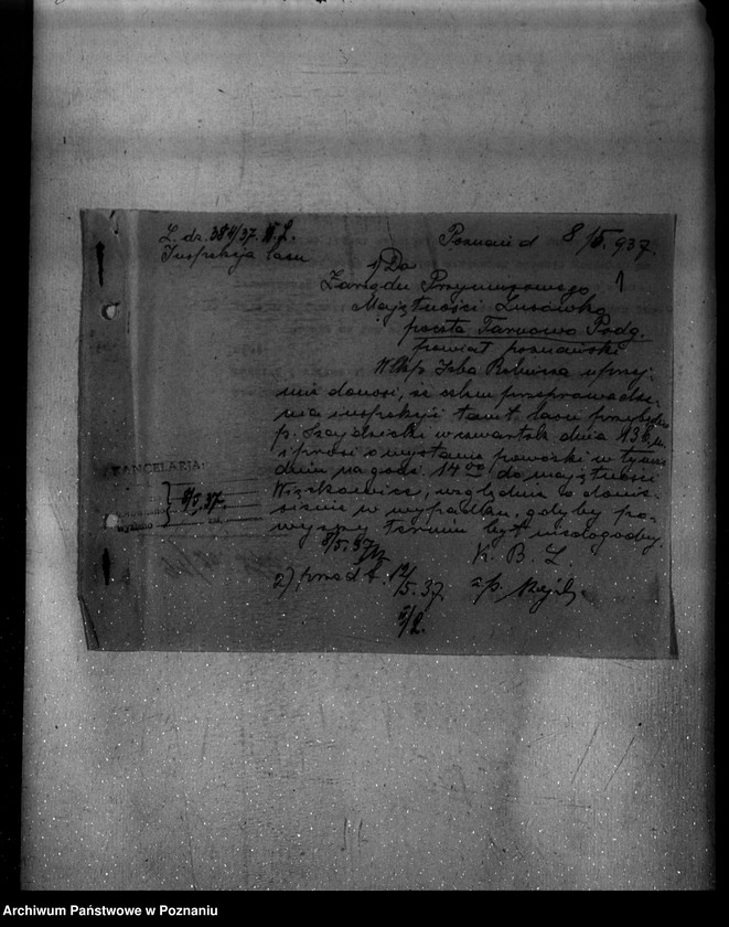 Obraz 5 z jednostki "Nadzór nad gospodarką w lasach majętności Lusówko powiatu poznańskiego"