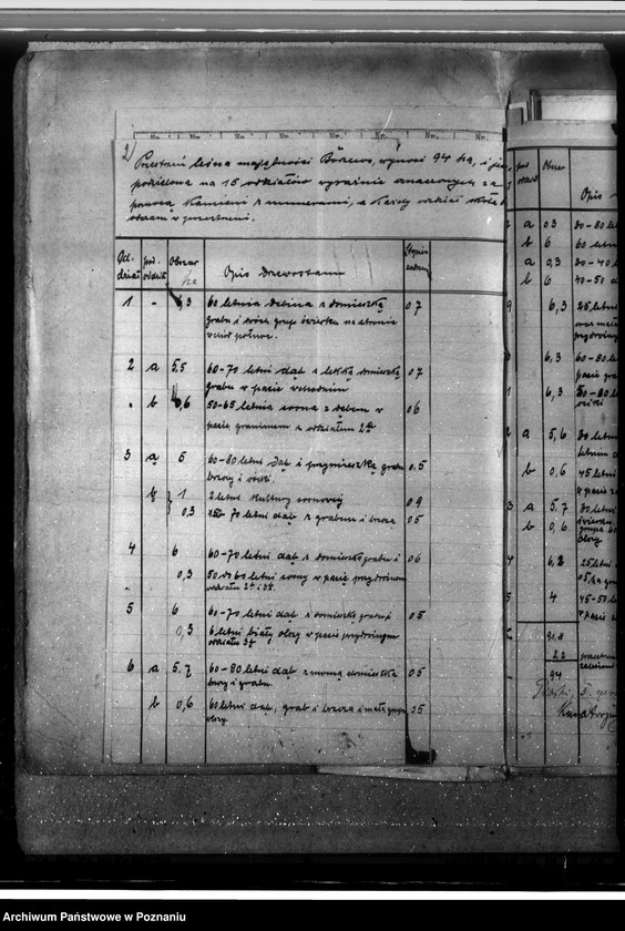 Obraz 6 z jednostki "Las fundacyjny Bodzewo w powiecie gostyńskim"