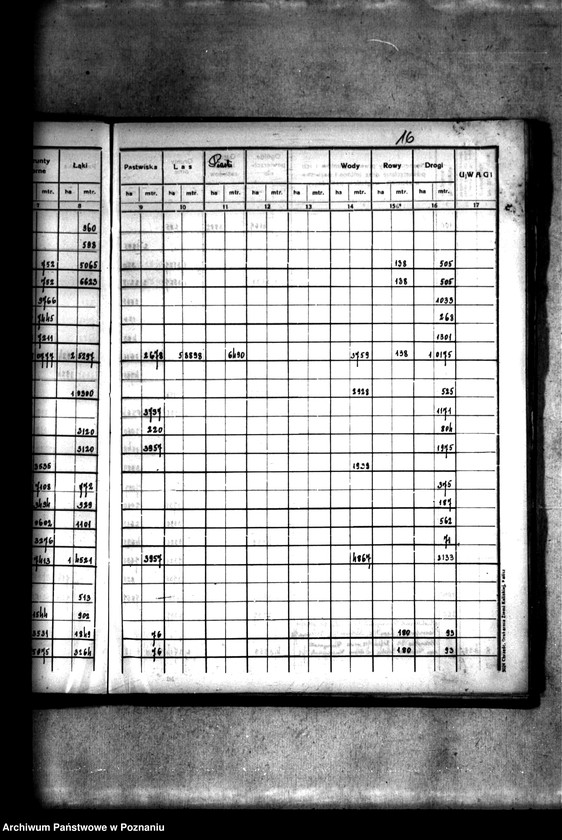 Obraz 20 z jednostki "Rejestr pomiarowy wsi Szczepidło powiatu konińskiego"