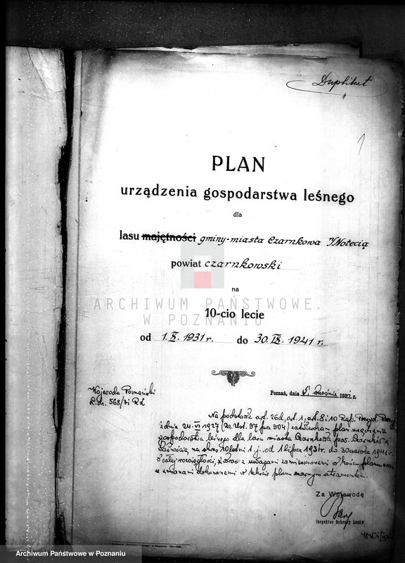 Obraz 5 z jednostki "Plan urządzania gospodarstwa leśnego dla gminy miasta Czarnkowa"
