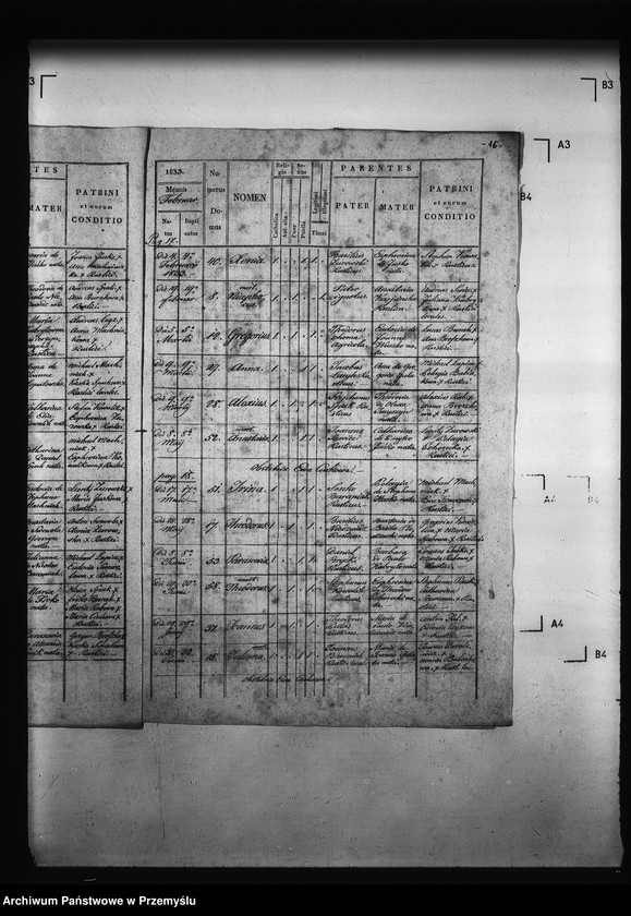 Obraz 20 z jednostki "[Kopie ksiąg metrykalnych parafii Miżyniec z filiami Gdeszyce, Zrotowice (dekanat Niżankowice)]"