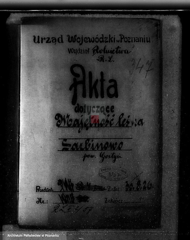 Obraz 4 z jednostki "Majętność leśna Sarbinowo w powiecie gostyńskim"