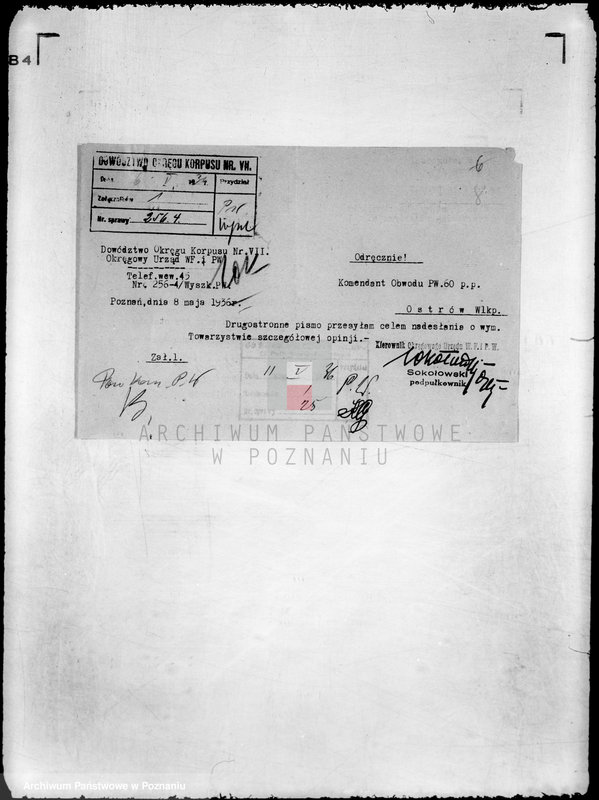 Obraz 12 z jednostki "Klub Sportowy,,Raszkowianka" w Raszkowie"