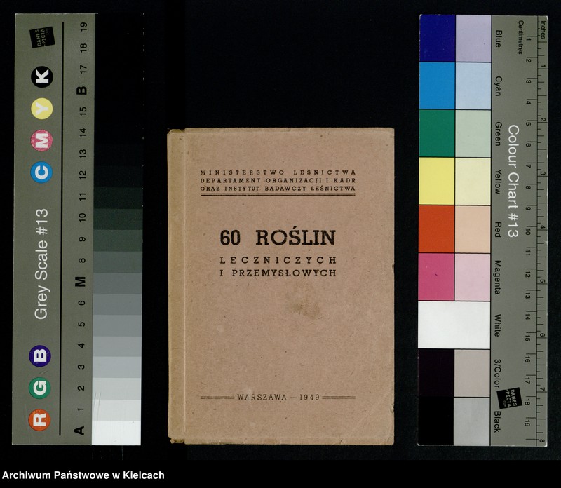 Obraz 1 z kolekcji "Rośliny lecznicze"