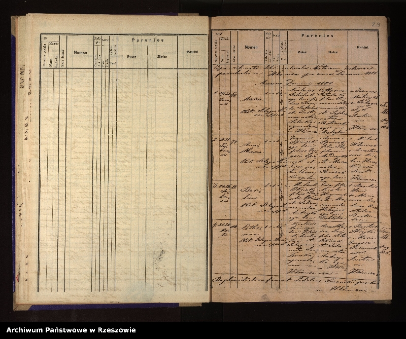 Obraz 19 z jednostki "Księga urodzeń, małżeństw i zgonów dla miejscowości Hłomcza, Łodzina, Mrzygłód"