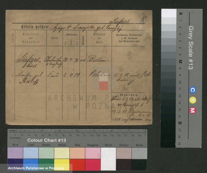 Obraz 1 z jednostki "Sifart - Sikorowski"